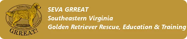 A great western virginia retriever rescue