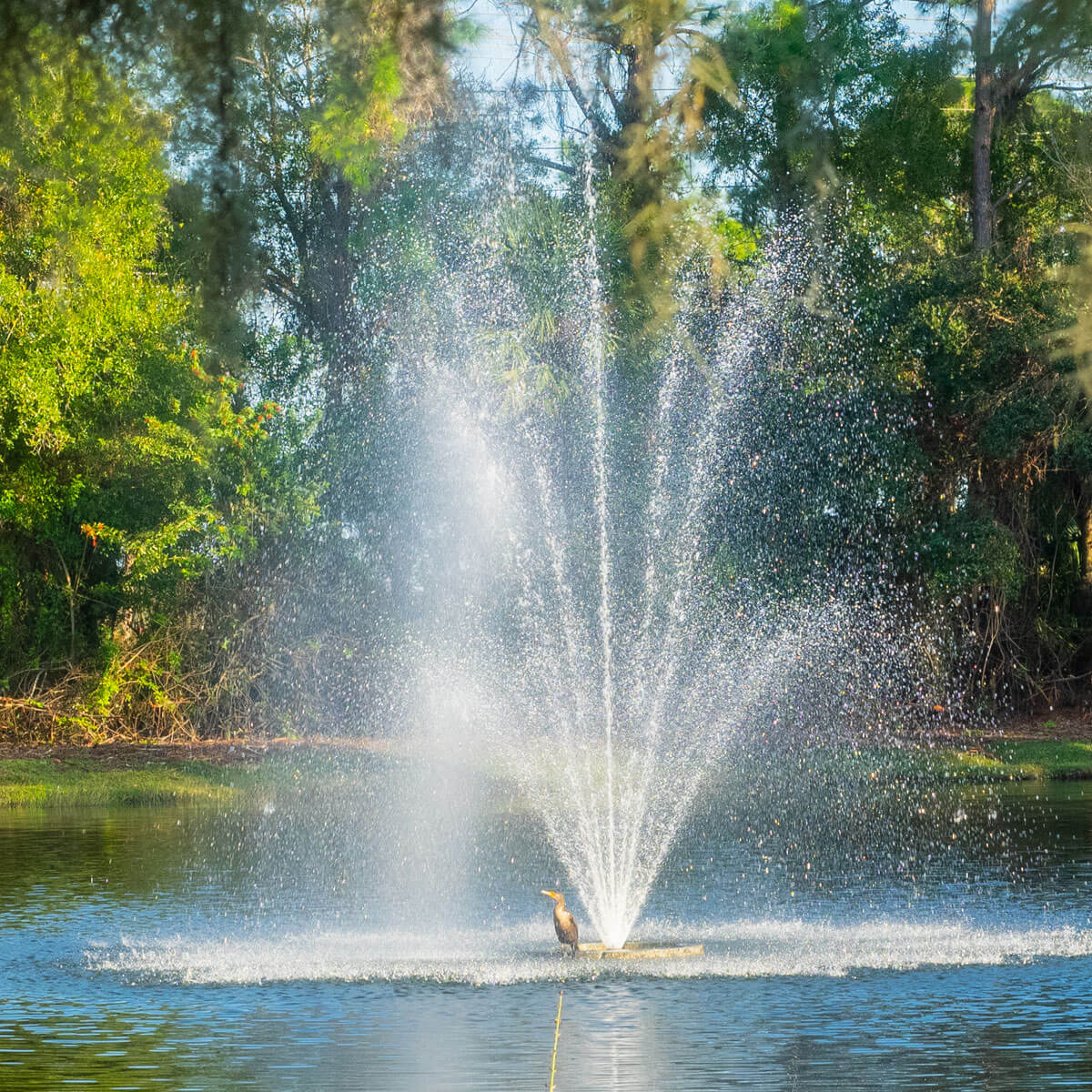 A fountain that is in the middle of some water.